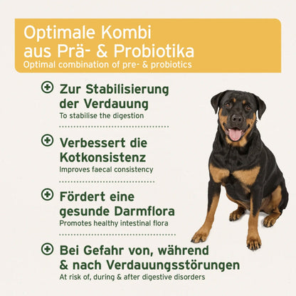 AniForte Probiotikum Tabs für Hunde - Woofshack