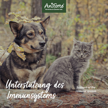 AniForte Propolis Pulver für Hunde - Woofshack