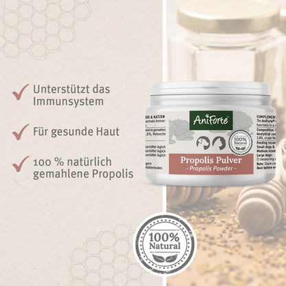 AniForte Propolis Pulver für Hunde - Woofshack