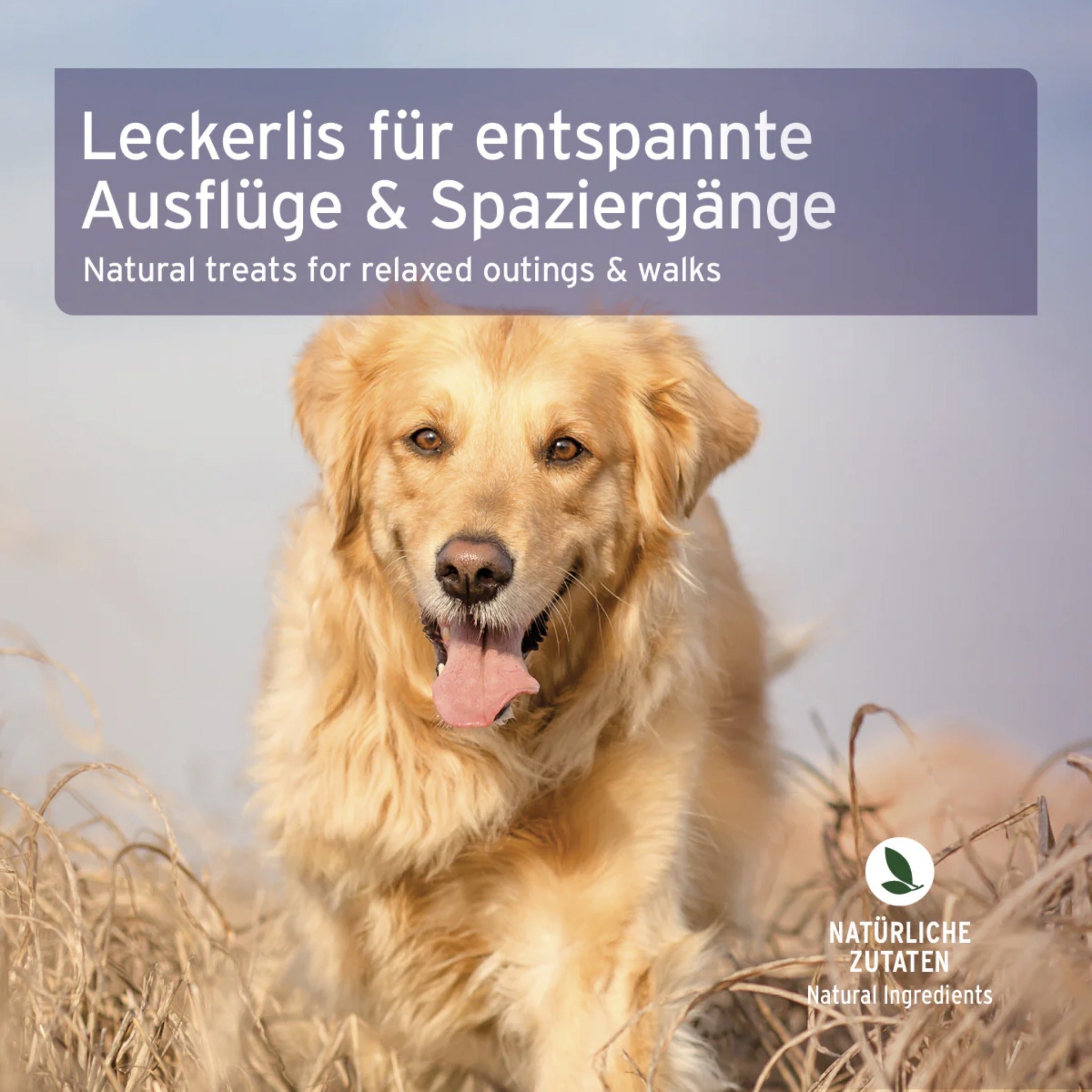 AniForte Relax - Snack für Hunde - Woofshack