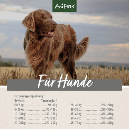 AniForte Rind Mini Hunde Trockenfutter - Woofshack