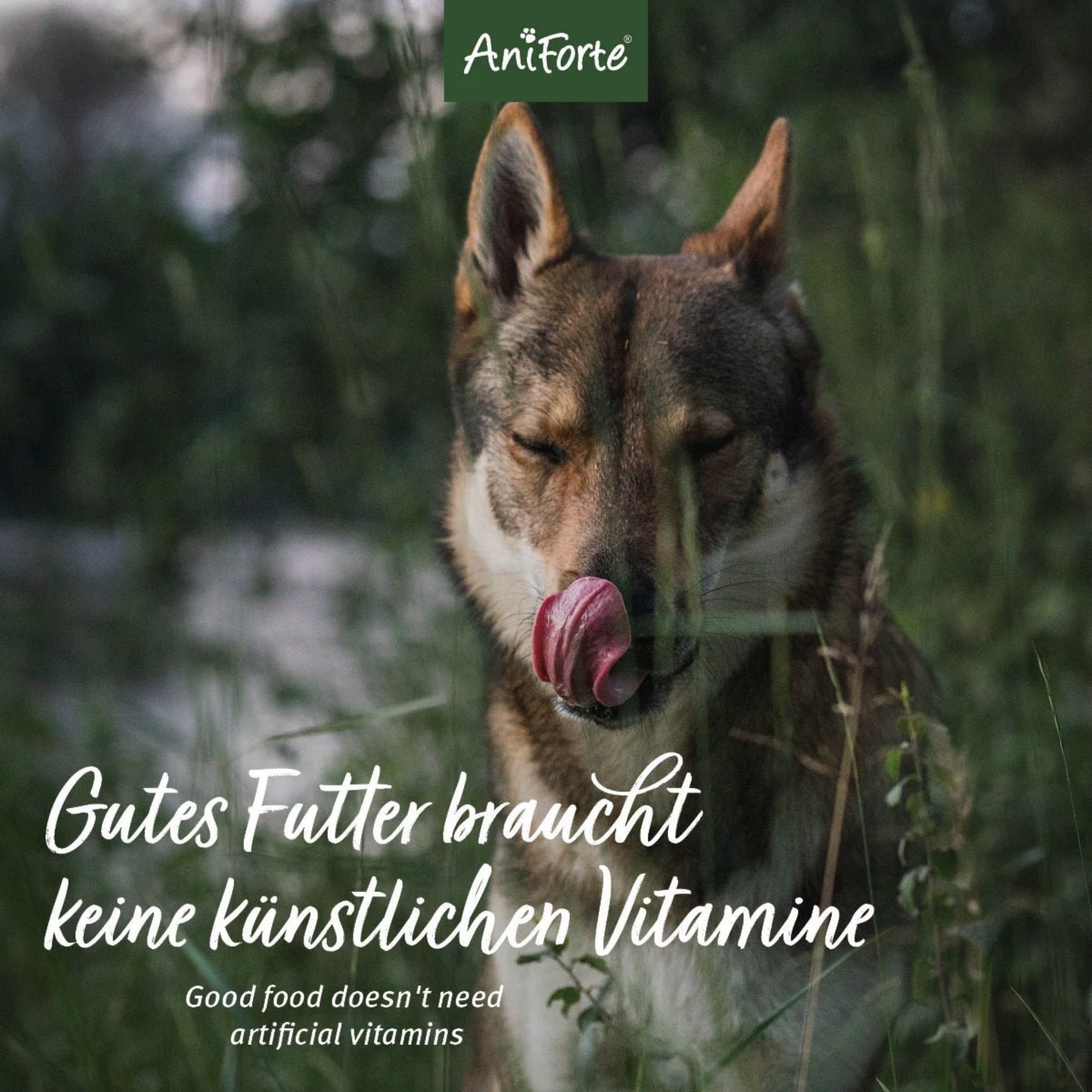 AniForte Rind Mini Hunde Trockenfutter - Woofshack