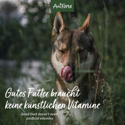 AniForte Rind Mini Hunde Trockenfutter - Woofshack