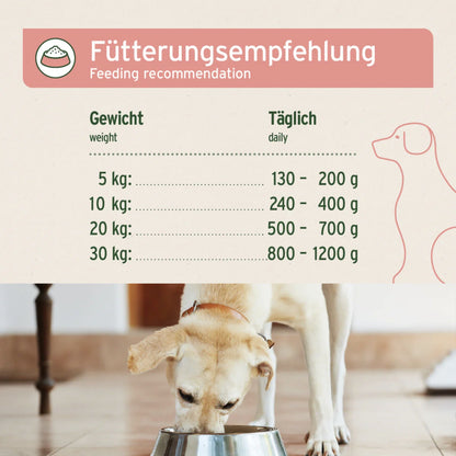 AniForte Rind Pur Hunde Nassfutter - Woofshack