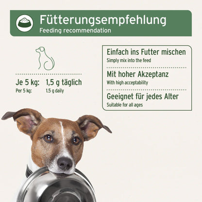 AniForte Rinderblut Pulver für Hunde - Woofshack