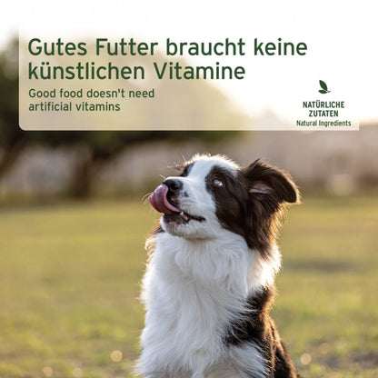 AniForte Senior Menu Beef Hunde Nassfutter - Woofshack