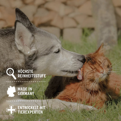 AniForte Silberwasser Spray für Hunde - Woofshack