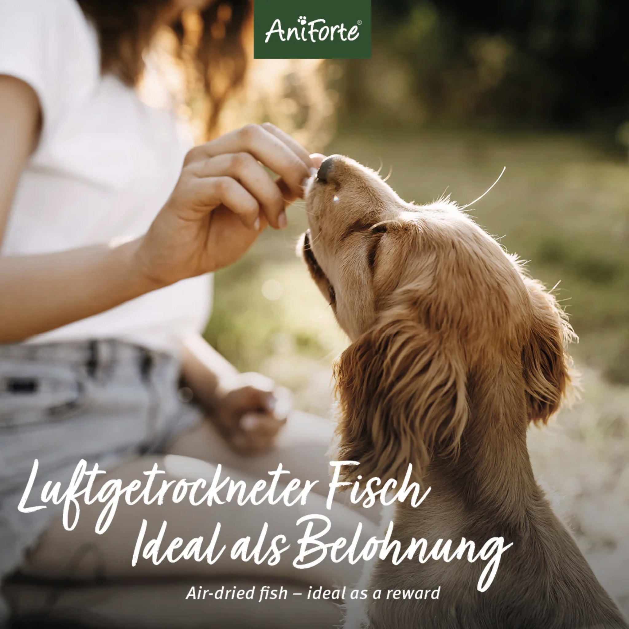 AniForte Trockenfisch Hundesnacks - Woofshack