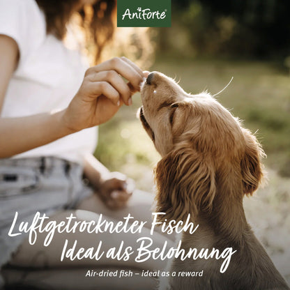 AniForte Trockenfisch Hundesnacks - Woofshack