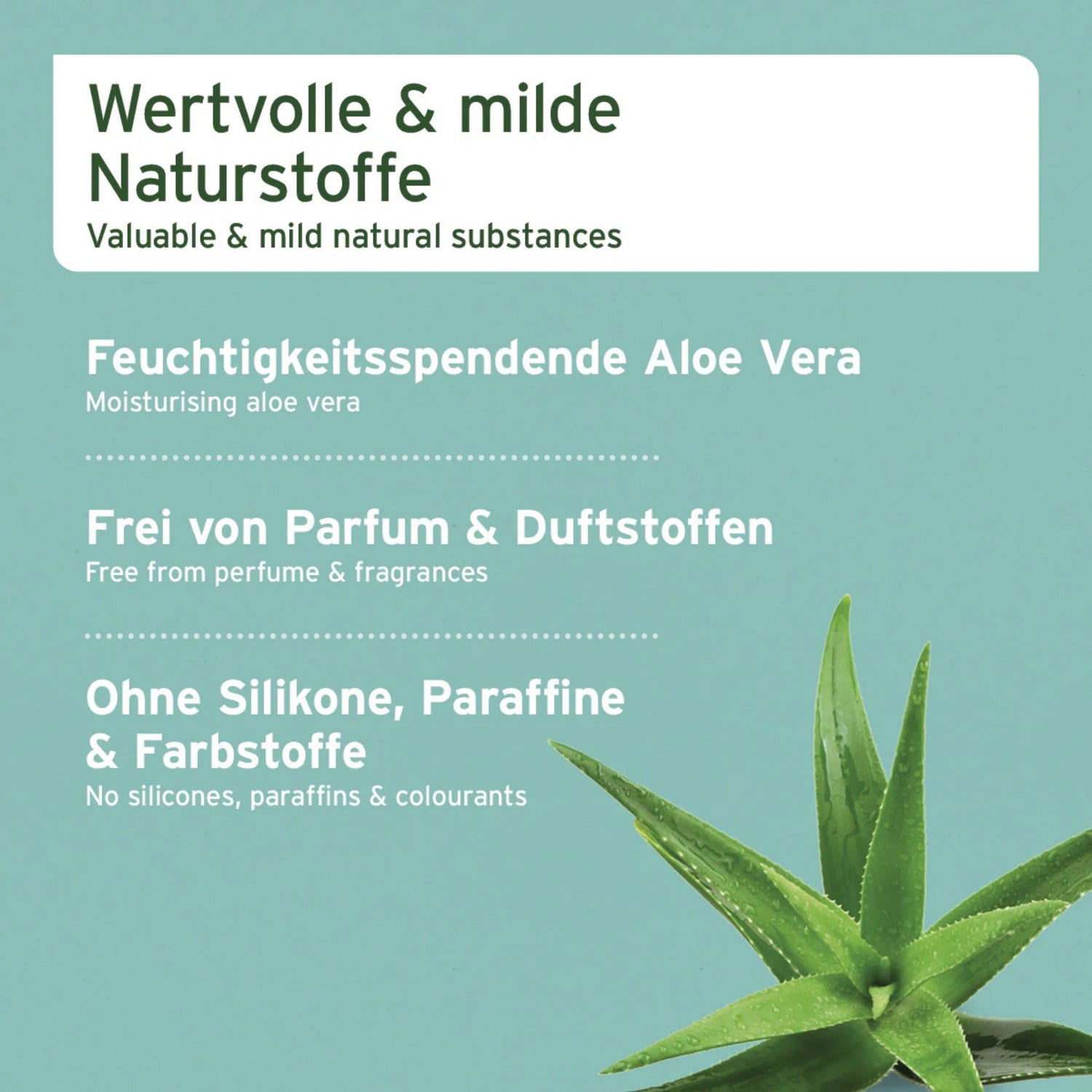 AniForte Welpen Shampoo mit Aloe Vera - Woofshack