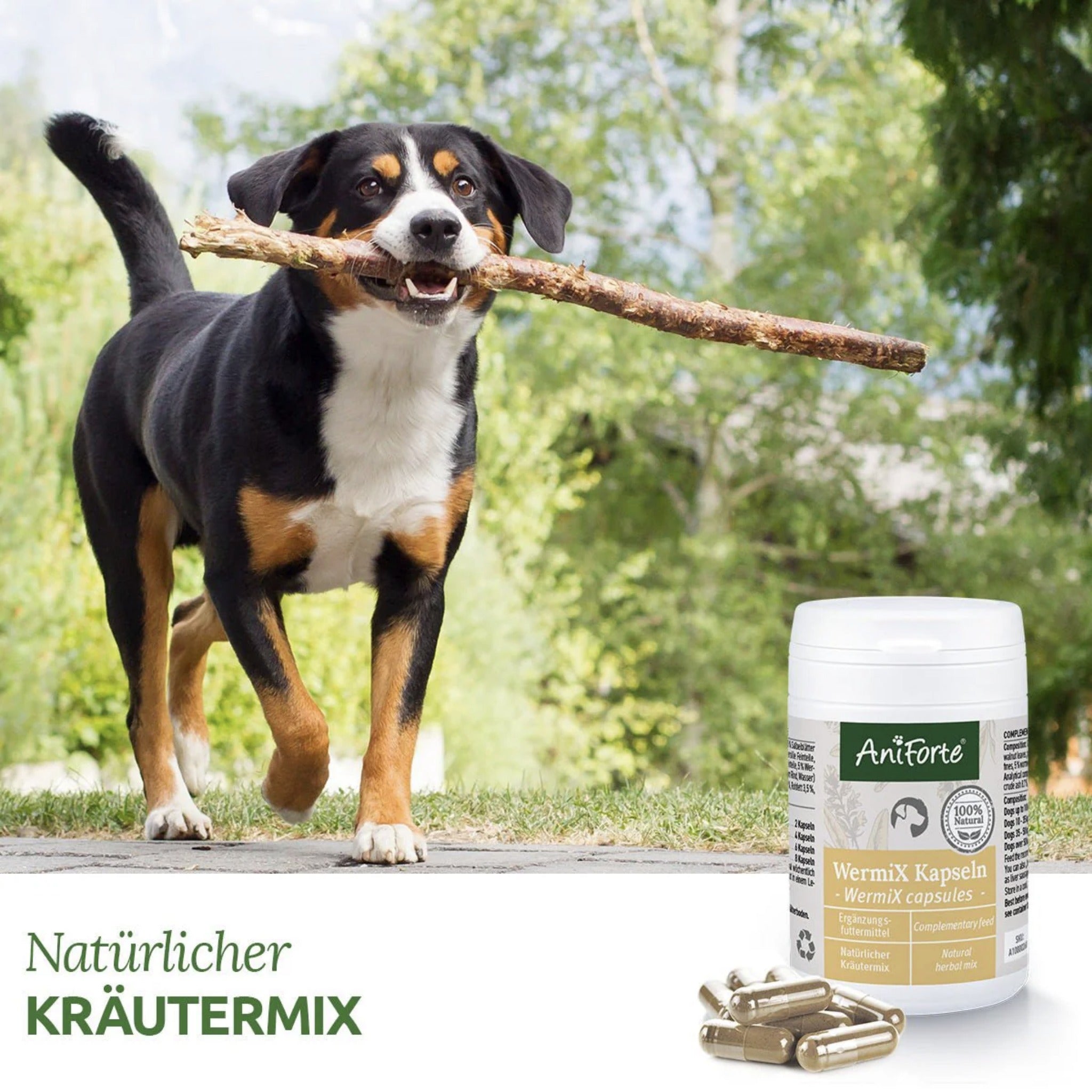 AniForte WermiX Kapseln für Hunde - Woofshack