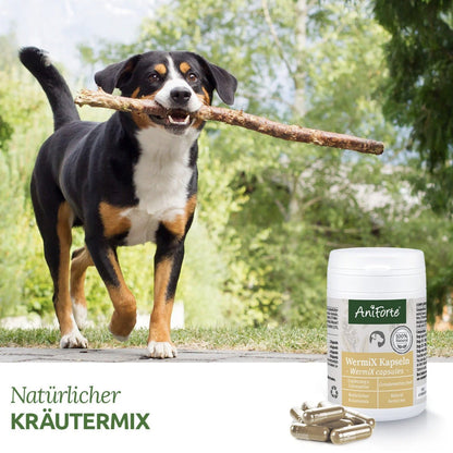 AniForte WermiX Kapseln für Hunde - Woofshack