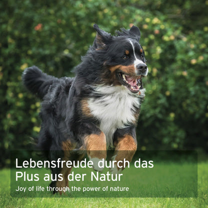 AniForte WermiX Pulver für Hunde - Woofshack