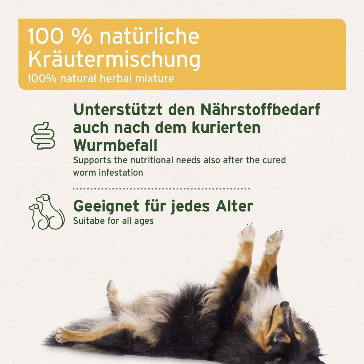 AniForte WermiX Pulver für Hunde - Woofshack