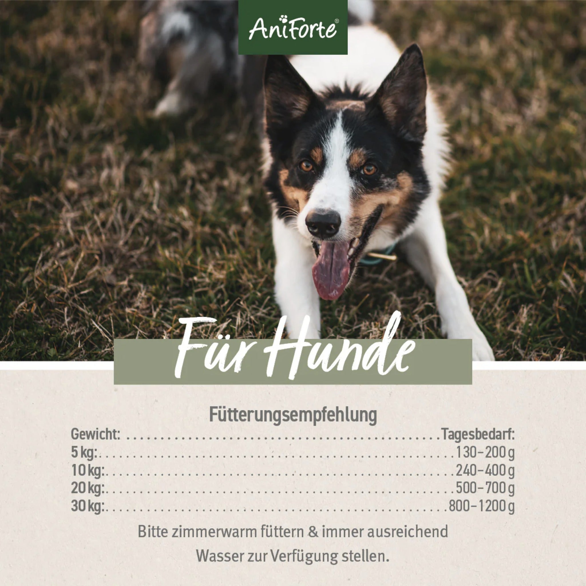 AniForte Wild Forest Hunde Nassfutter - Woofshack