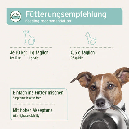 AniForte Zahnpflege Pulver für Hunde - Woofshack