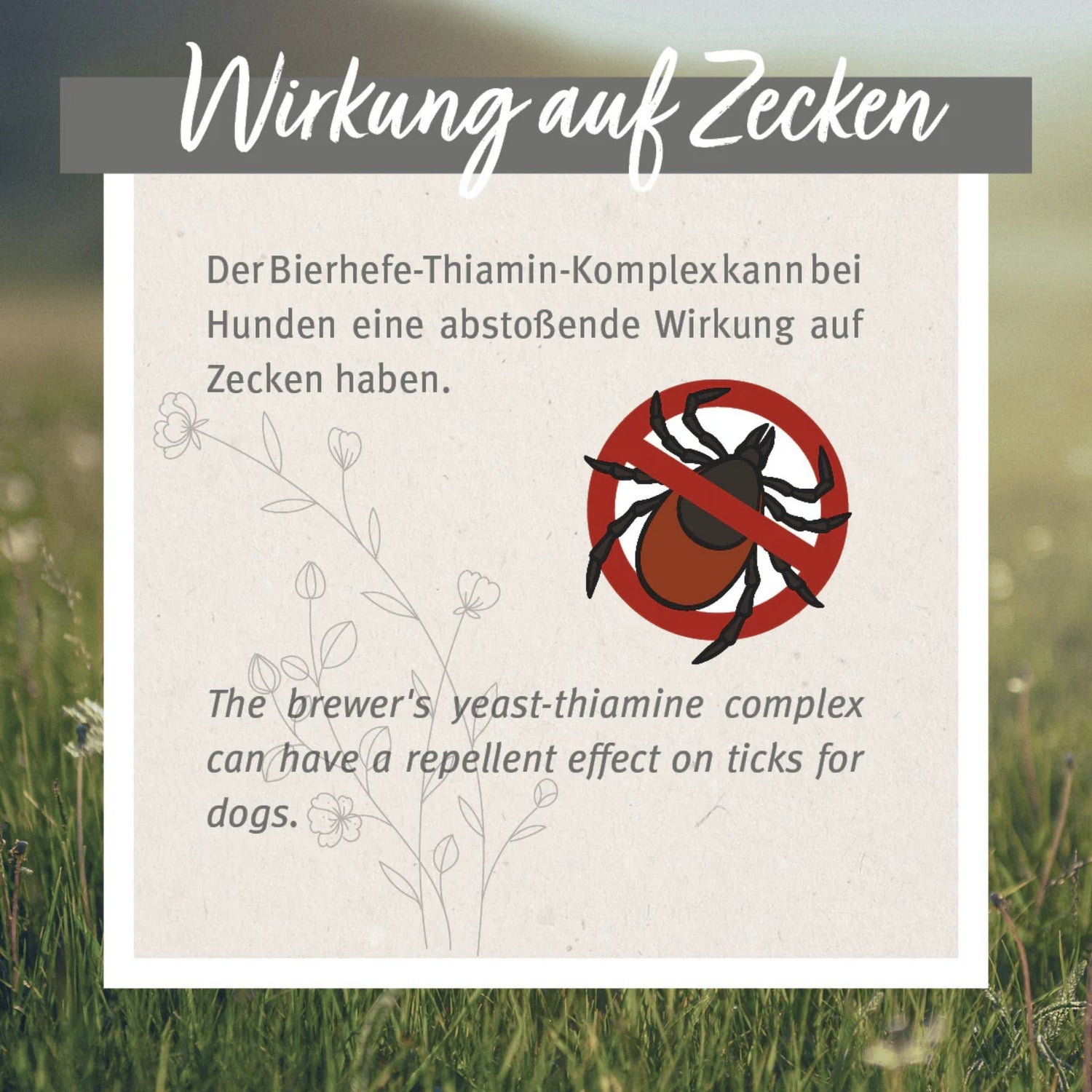 AniForte ZeckenSchild Kapseln für Hunde - Woofshack