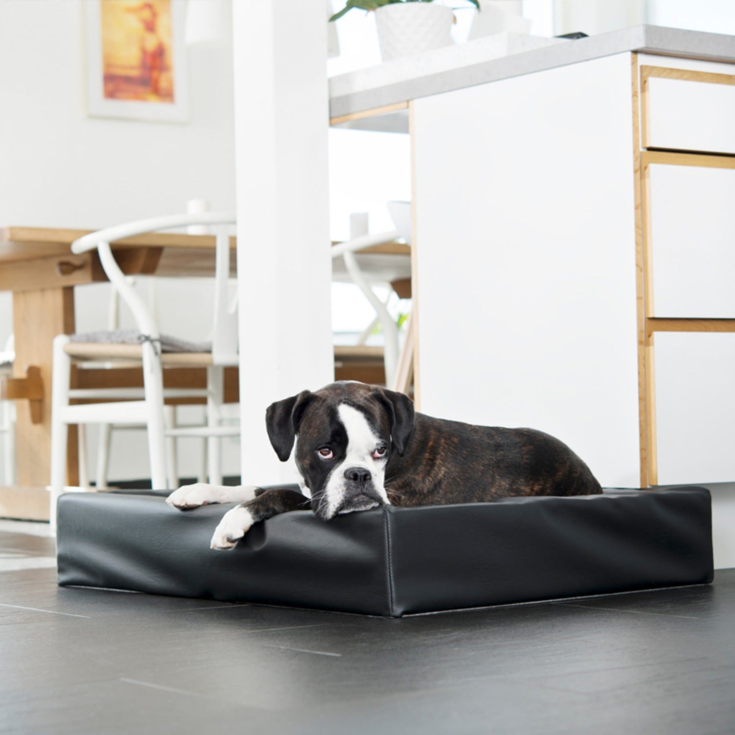 BIA BED Original Hundebett - Woofshack