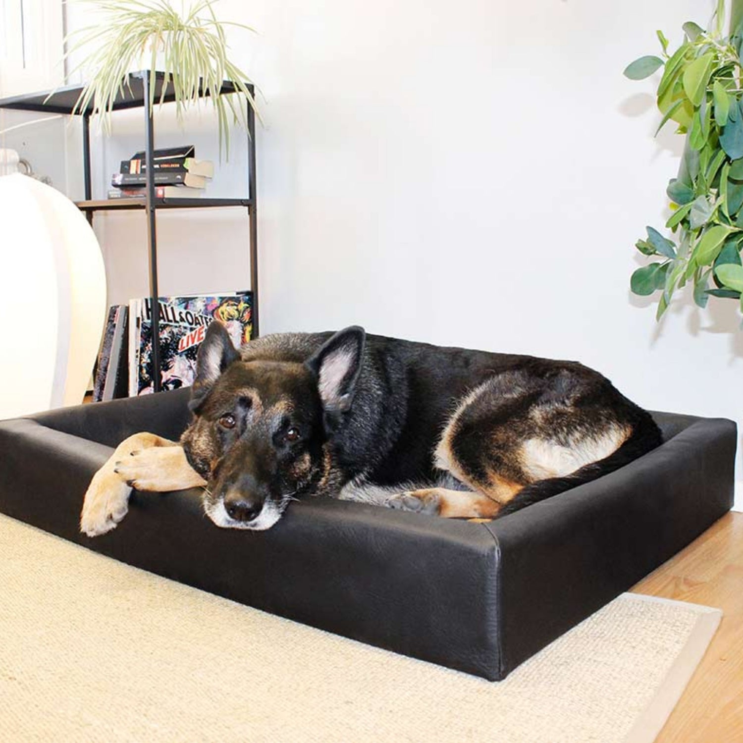 BIA BED Original Hundebett