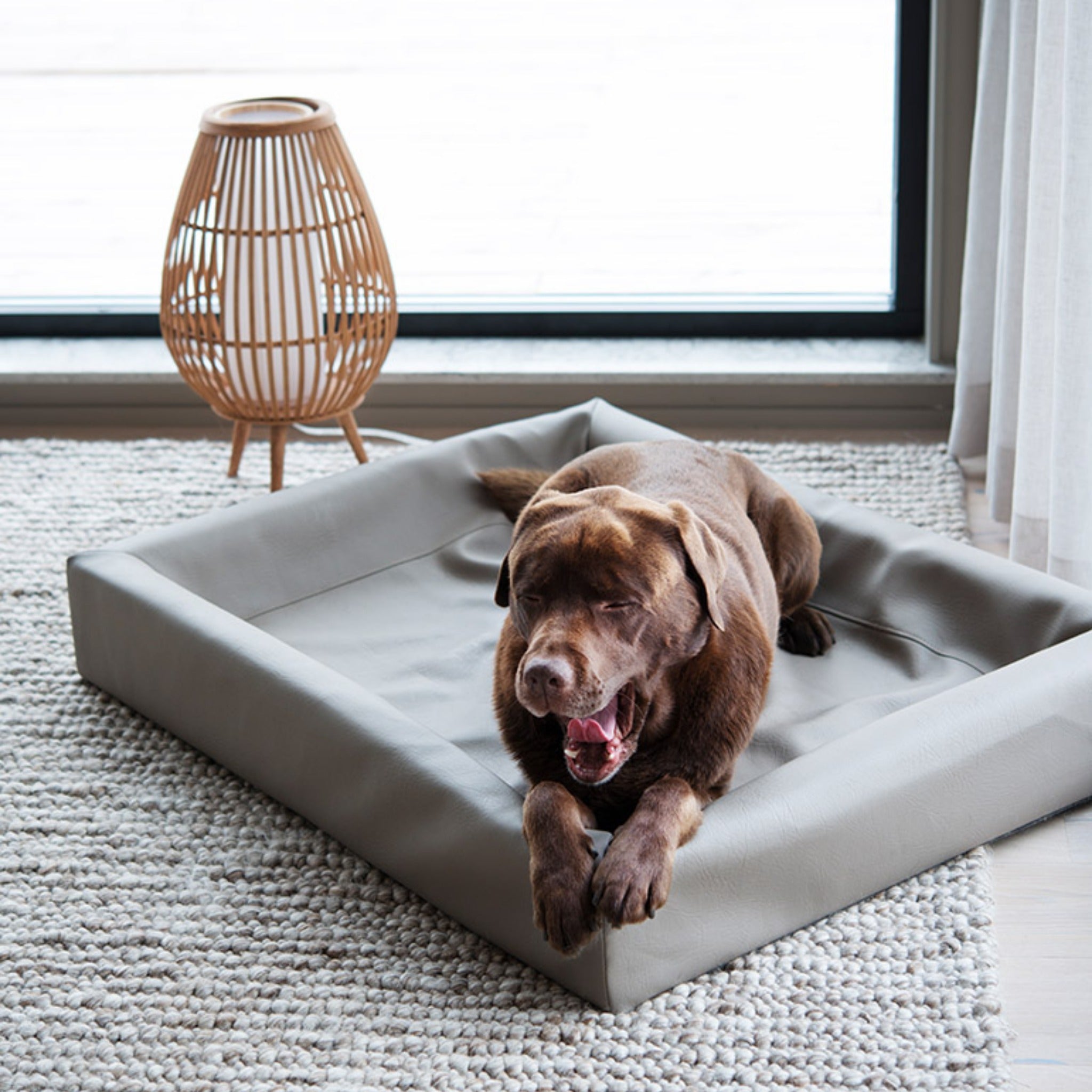 BIA BED Original Hundebett - Woofshack