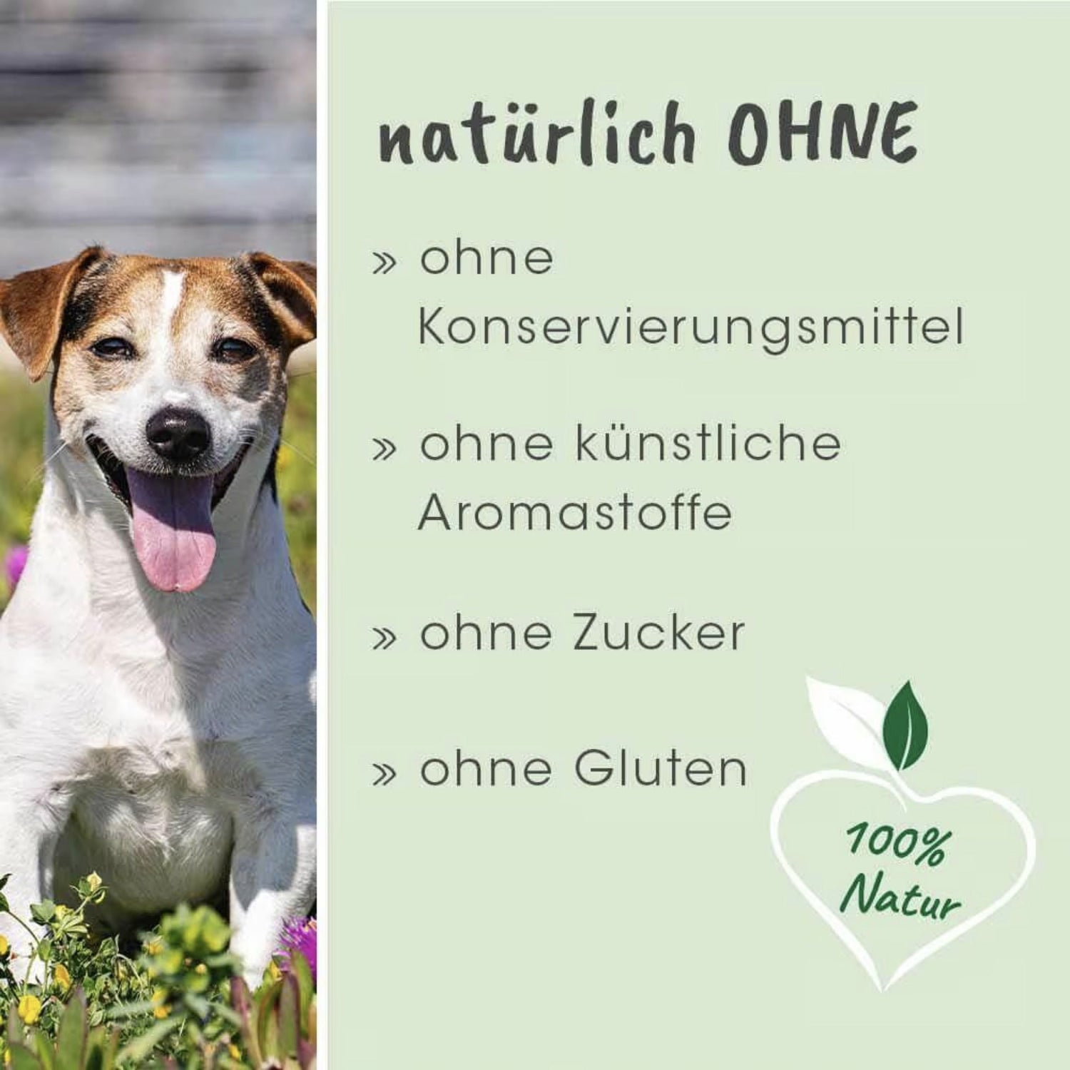 cdVet dentaVet Atemfrisch für Hunde - Woofshack