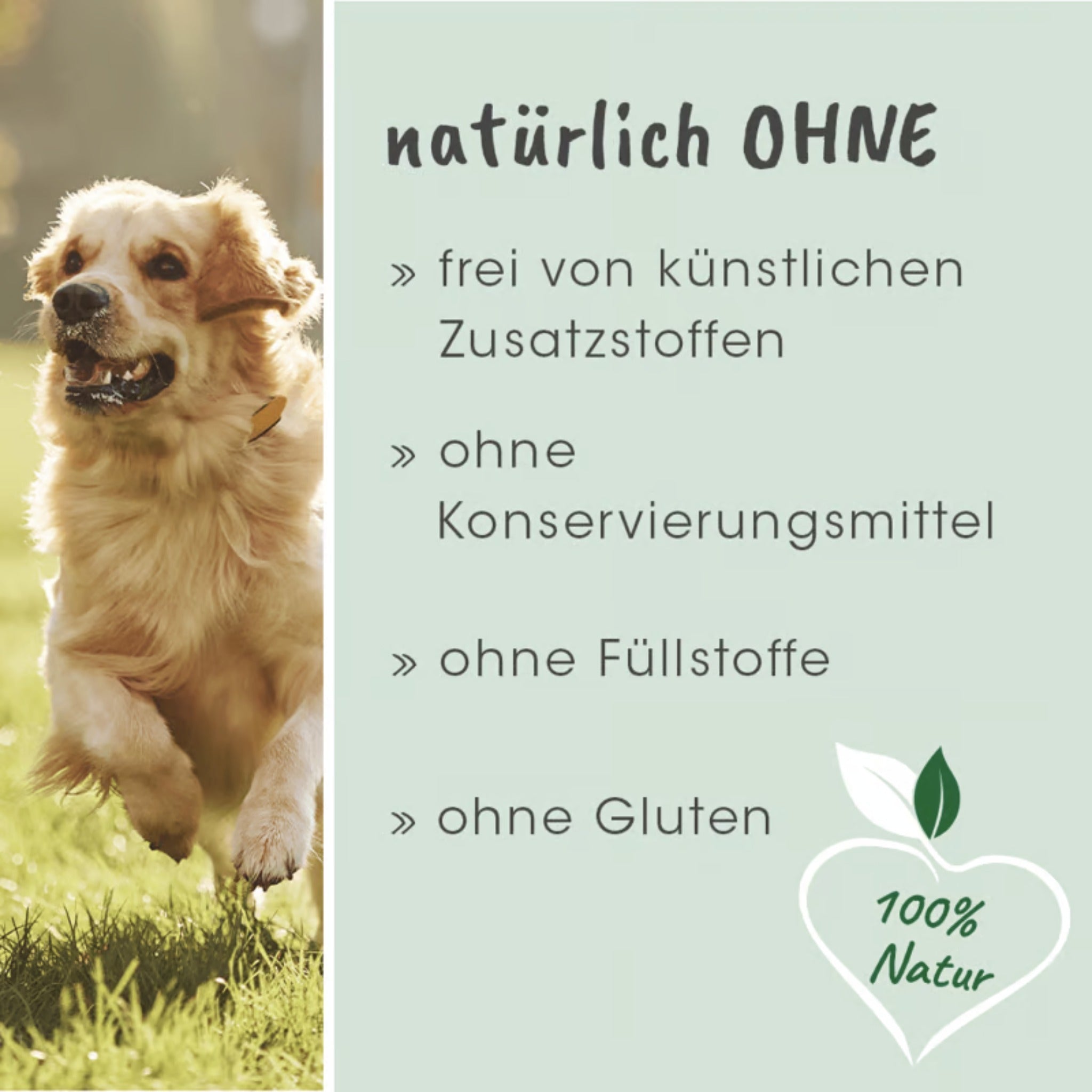 cdVet DurchfallStopp für Hunde - Woofshack