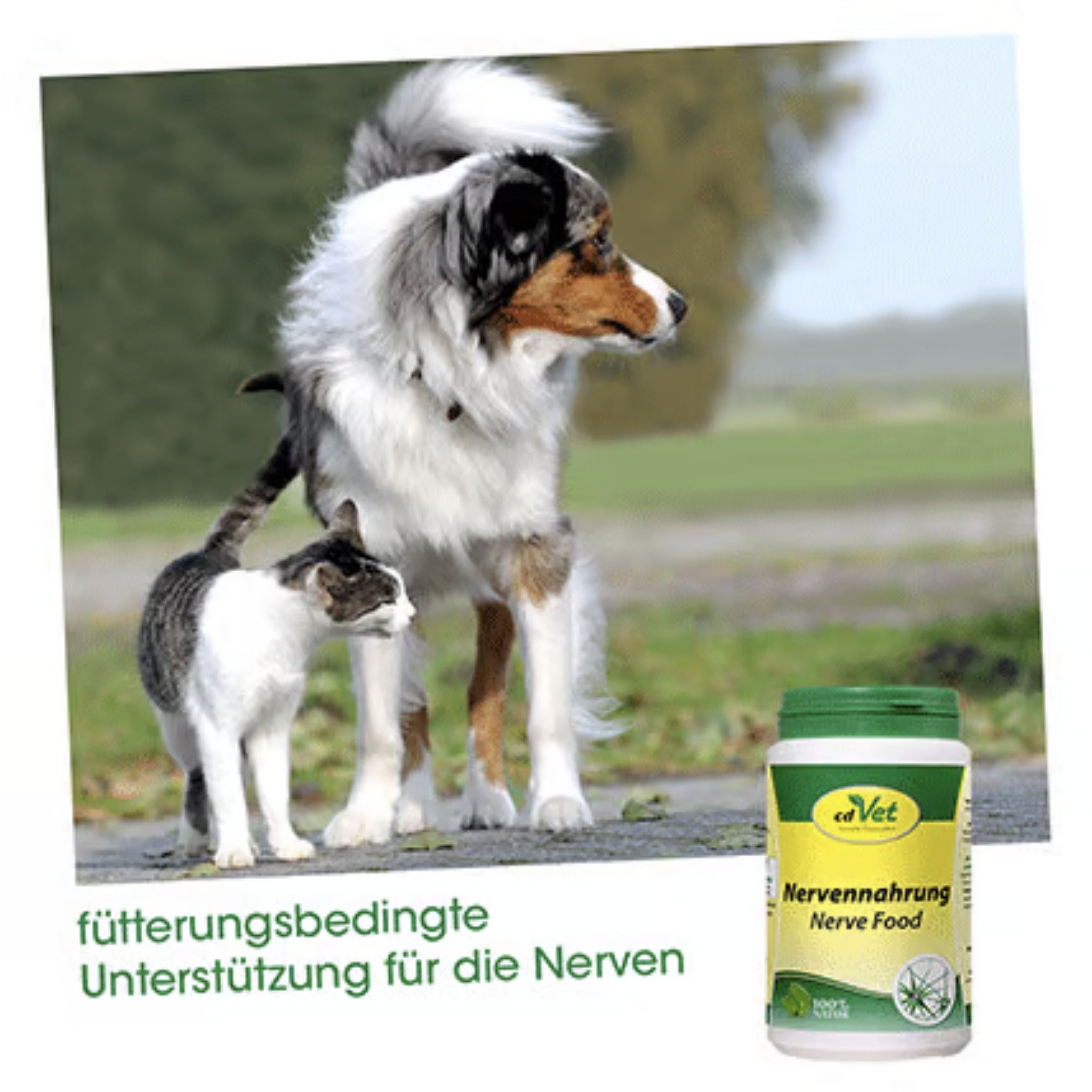 cdVet Nervennahrung für Hunde - Woofshack