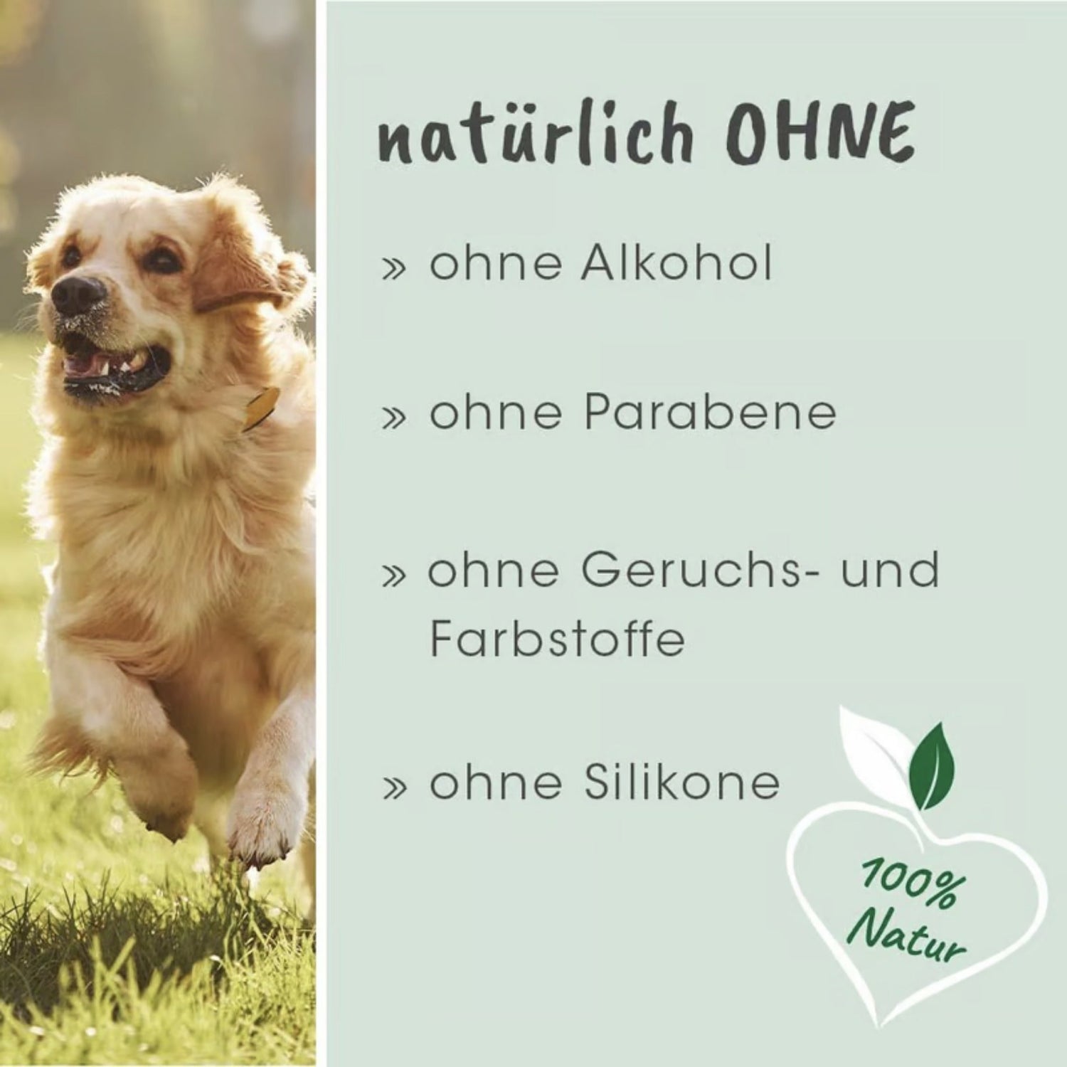 cdVet Ohrenpflege für Hunde - Woofshack