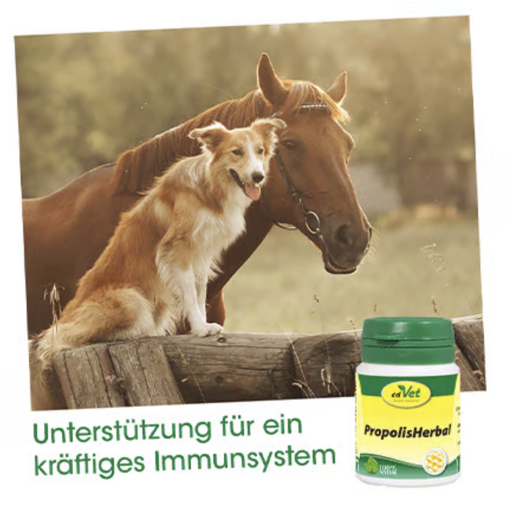 cdVet PropolisHerbal für Hunde - Woofshack