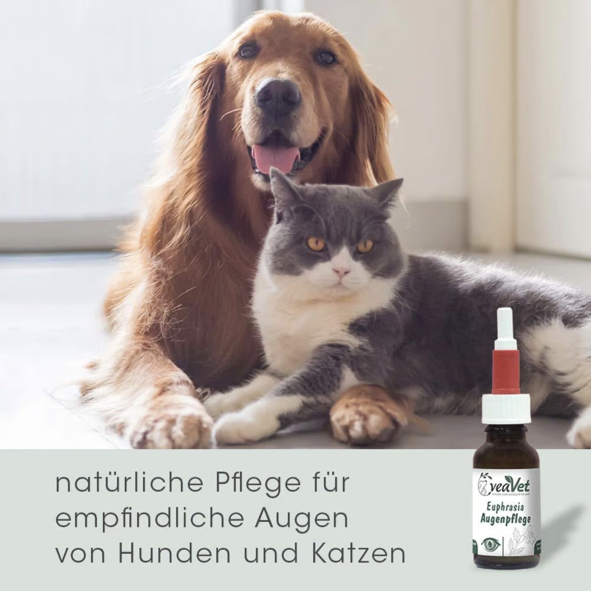 cdVet VeaVet Euphrasia Augenpflege für Hunde - Woofshack