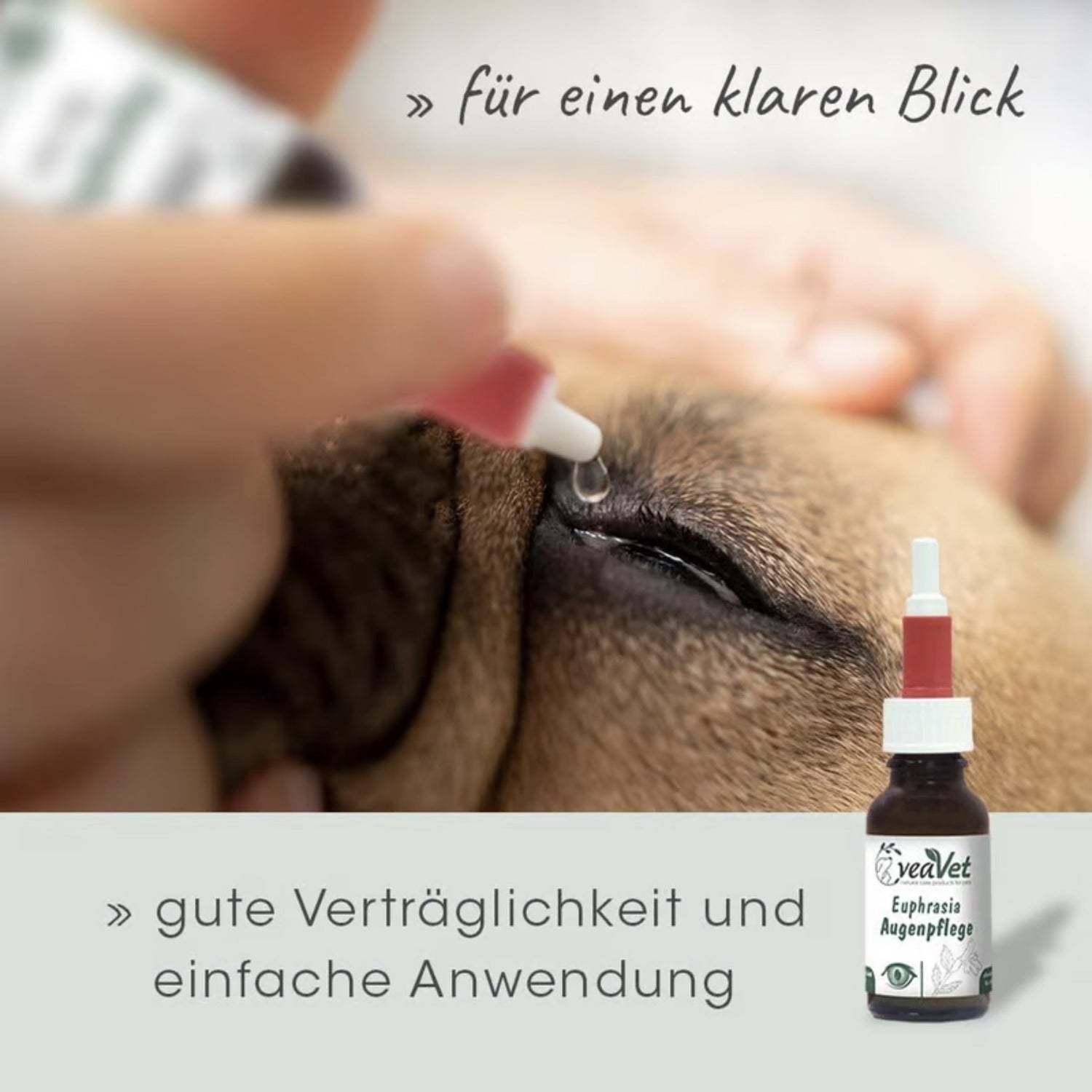 cdVet VeaVet Euphrasia Augenpflege für Hunde - Woofshack