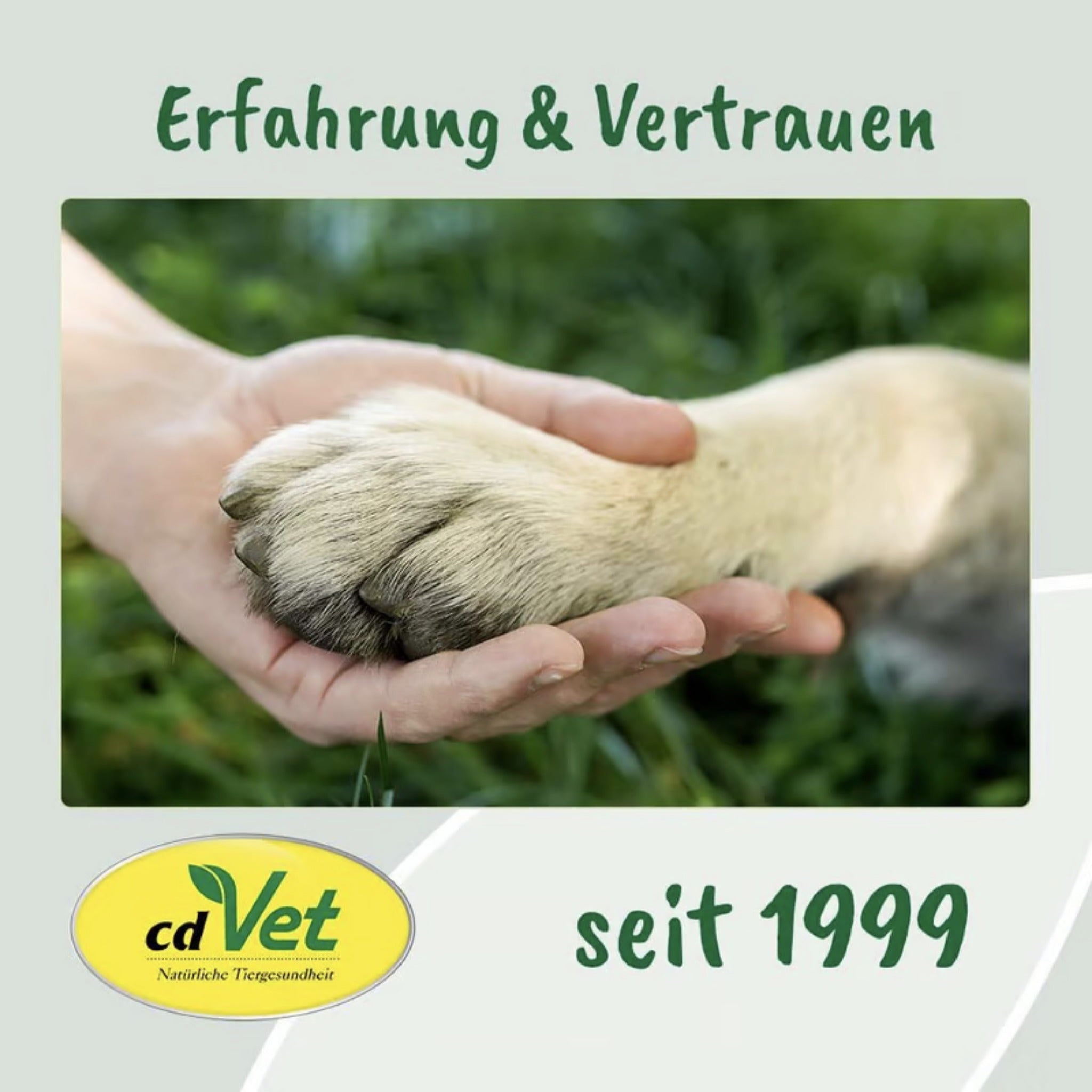 cdVet VeaVet Ohrenpflege mild für Hunde - Woofshack