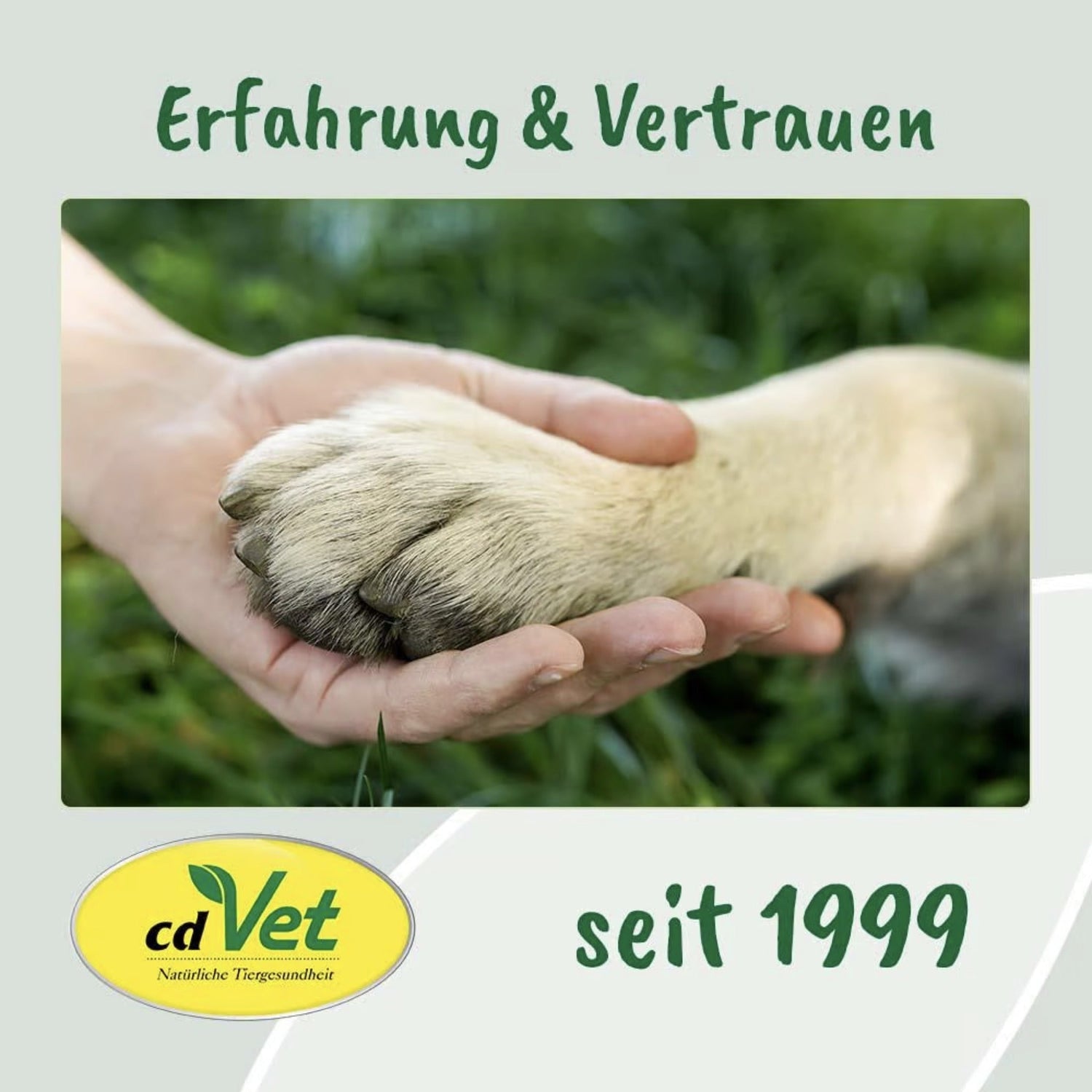 cdVet VeaVet Pflegeshampoo für Hunde - Woofshack