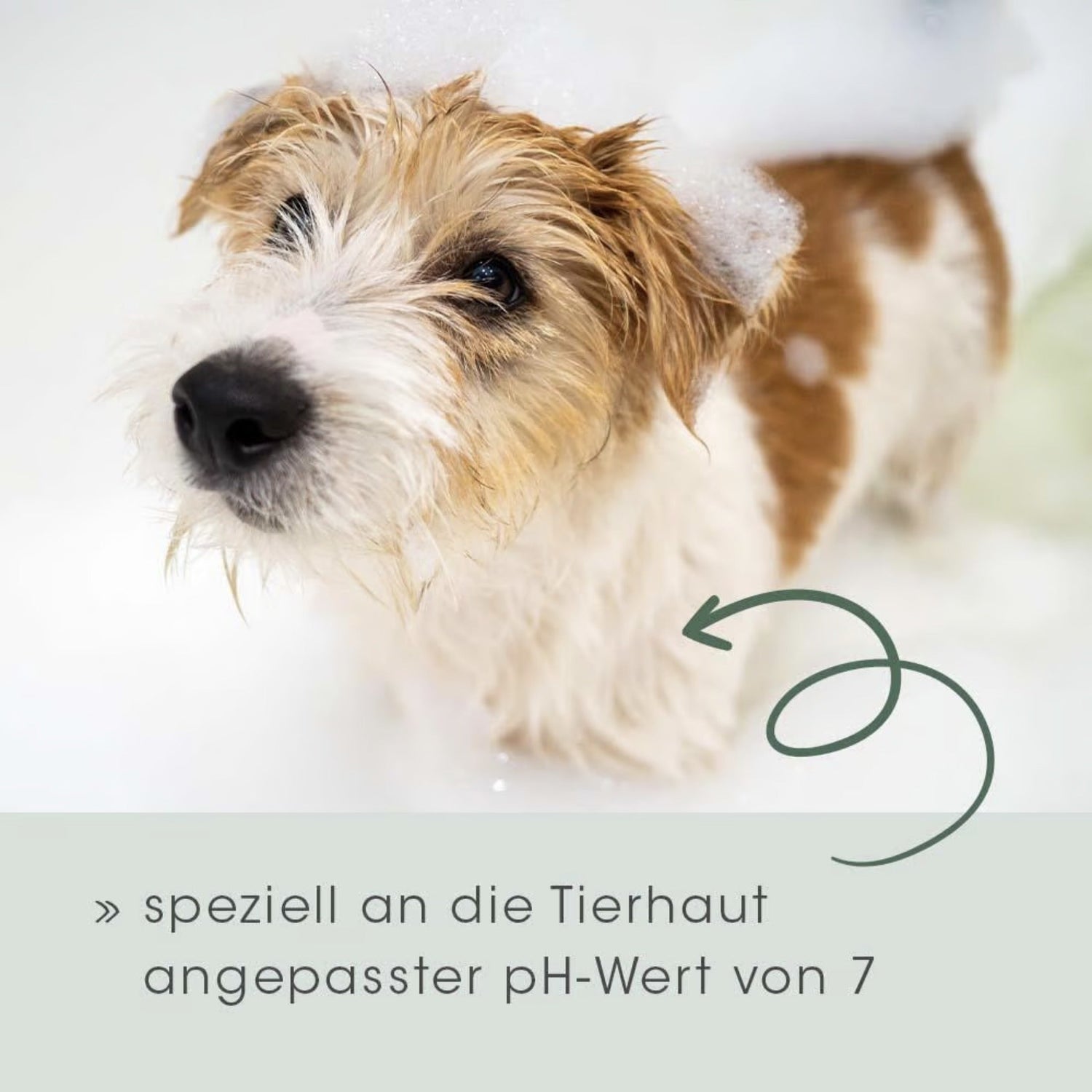 cdVet VeaVet Pflegeshampoo für Hunde - Woofshack