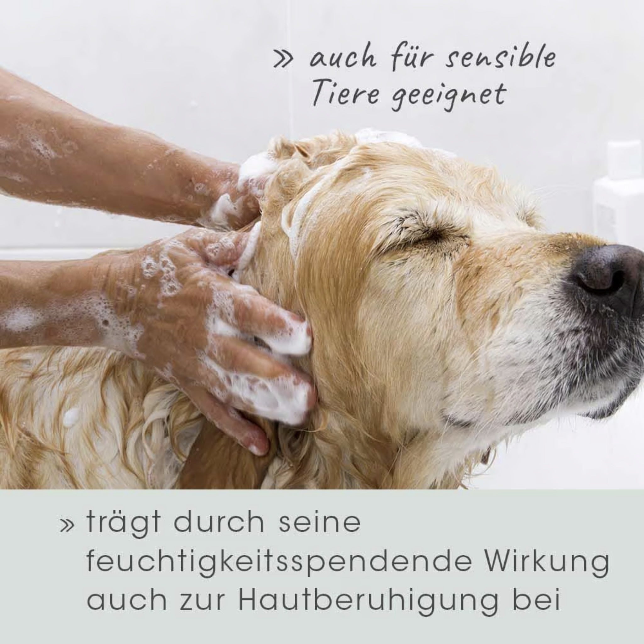 cdVet VeaVet Pflegeshampoo für Hunde - Woofshack