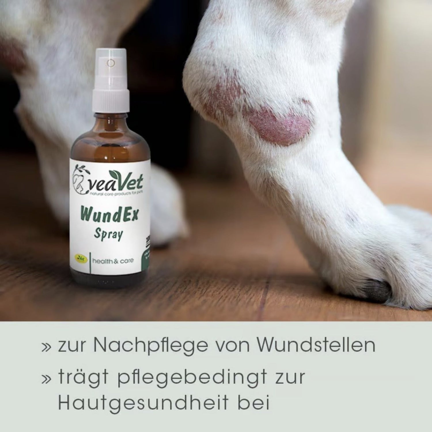 cdVet VeaVet WundEx Spray für Hunde - Woofshack