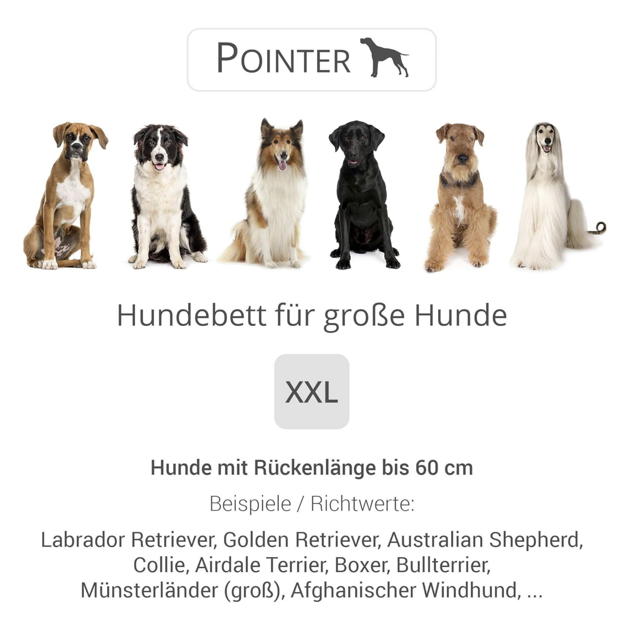 Doctor Bark Orthopädisches Hundebett Pointer - Woofshack