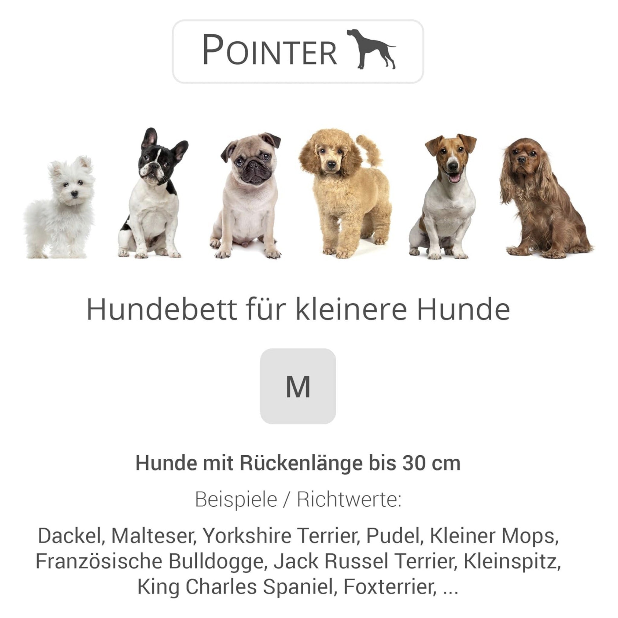 Doctor Bark Orthopädisches Hundebett Pointer - Woofshack