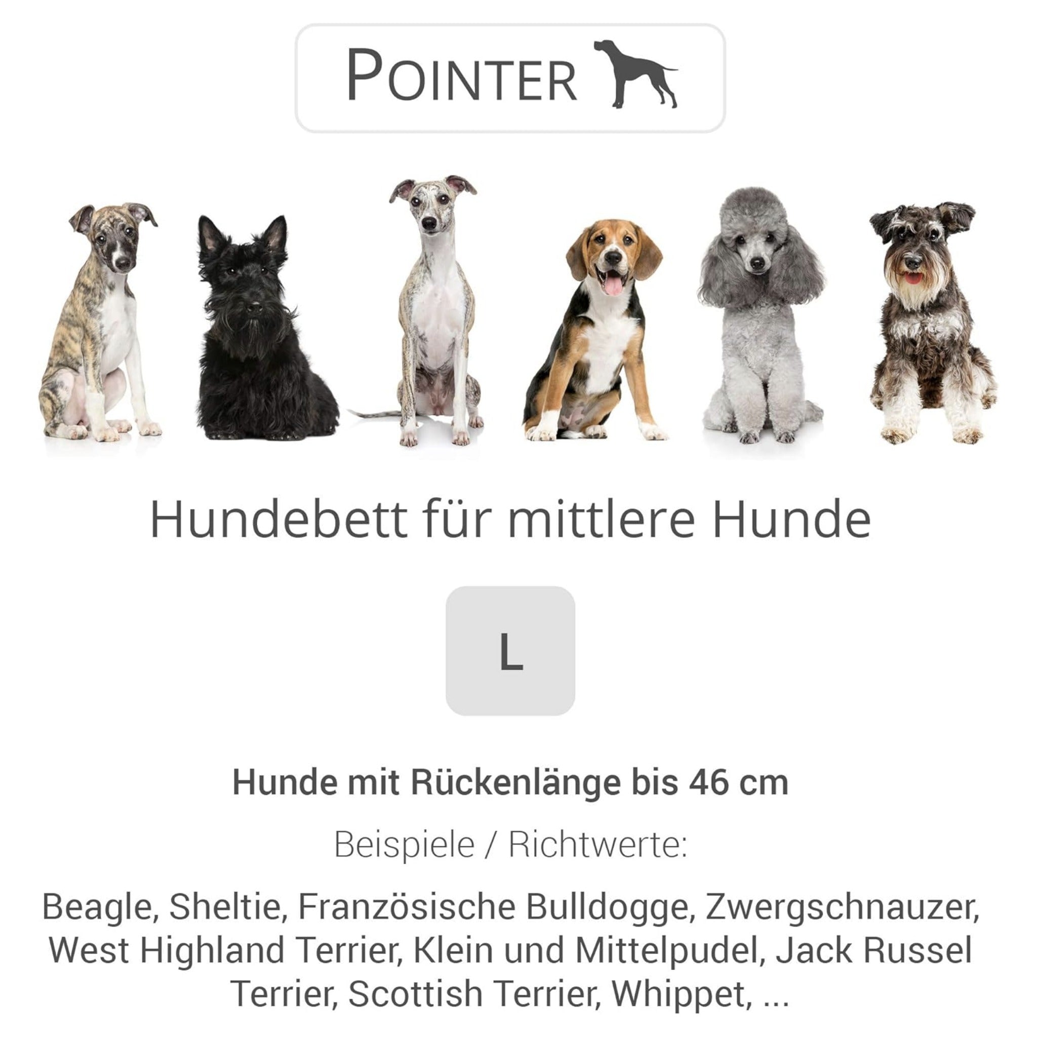 Doctor Bark Orthopädisches Hundebett Pointer - Woofshack