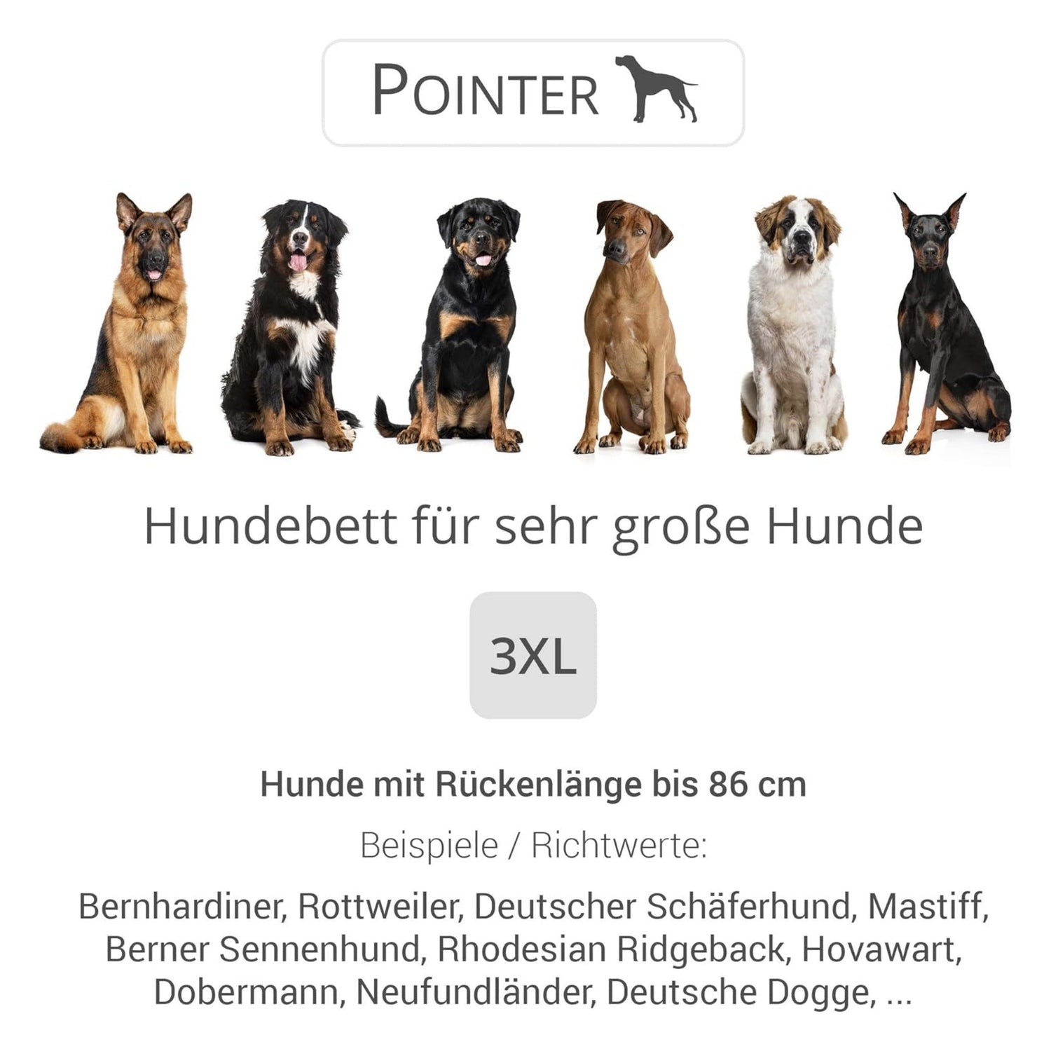 Doctor Bark Orthopädisches Hundebett Pointer - Woofshack