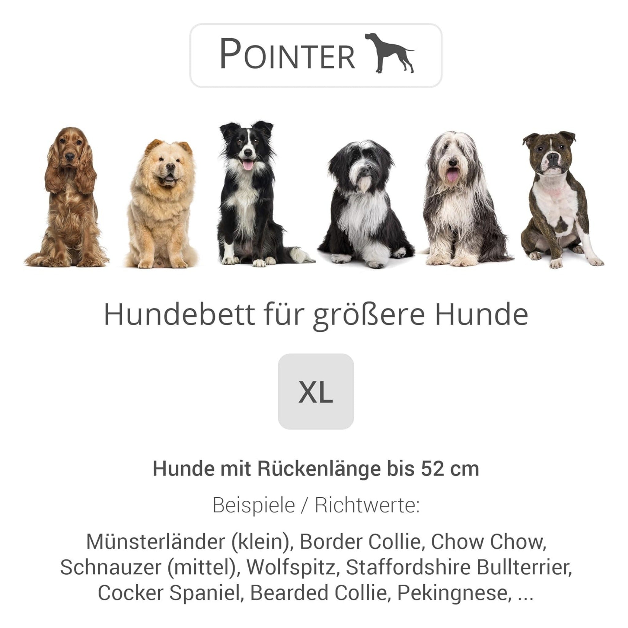 Doctor Bark Orthopädisches Hundebett Pointer - Woofshack