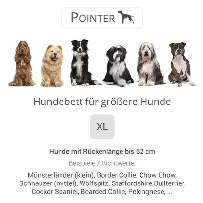 Doctor Bark Orthopädisches Hundebett Pointer - Woofshack