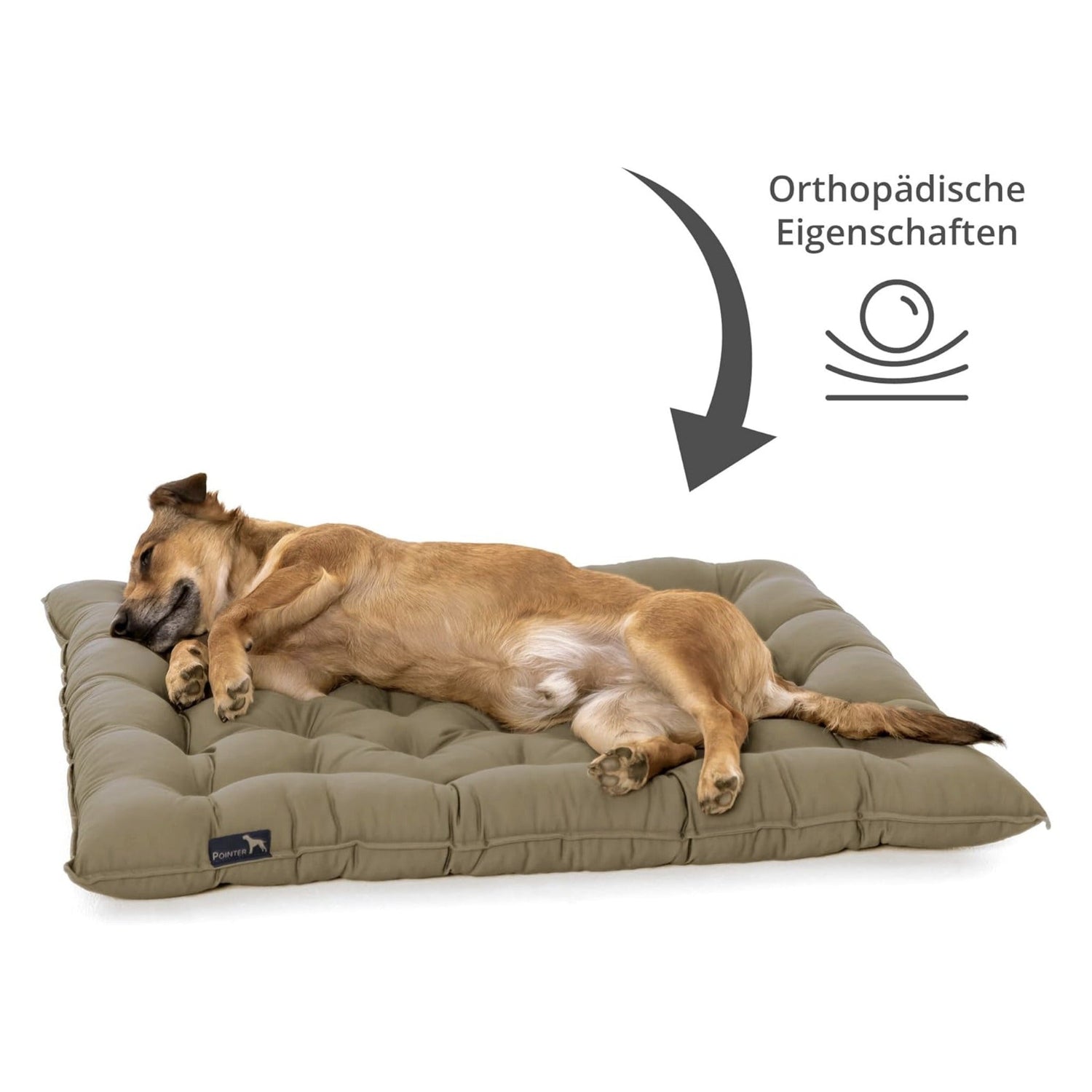 Doctor Bark Orthopädisches Hundekissen Pointer - Woofshack