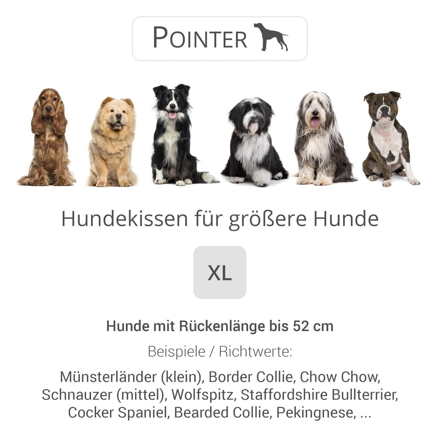 Doctor Bark Orthopädisches Hundekissen Pointer - Woofshack