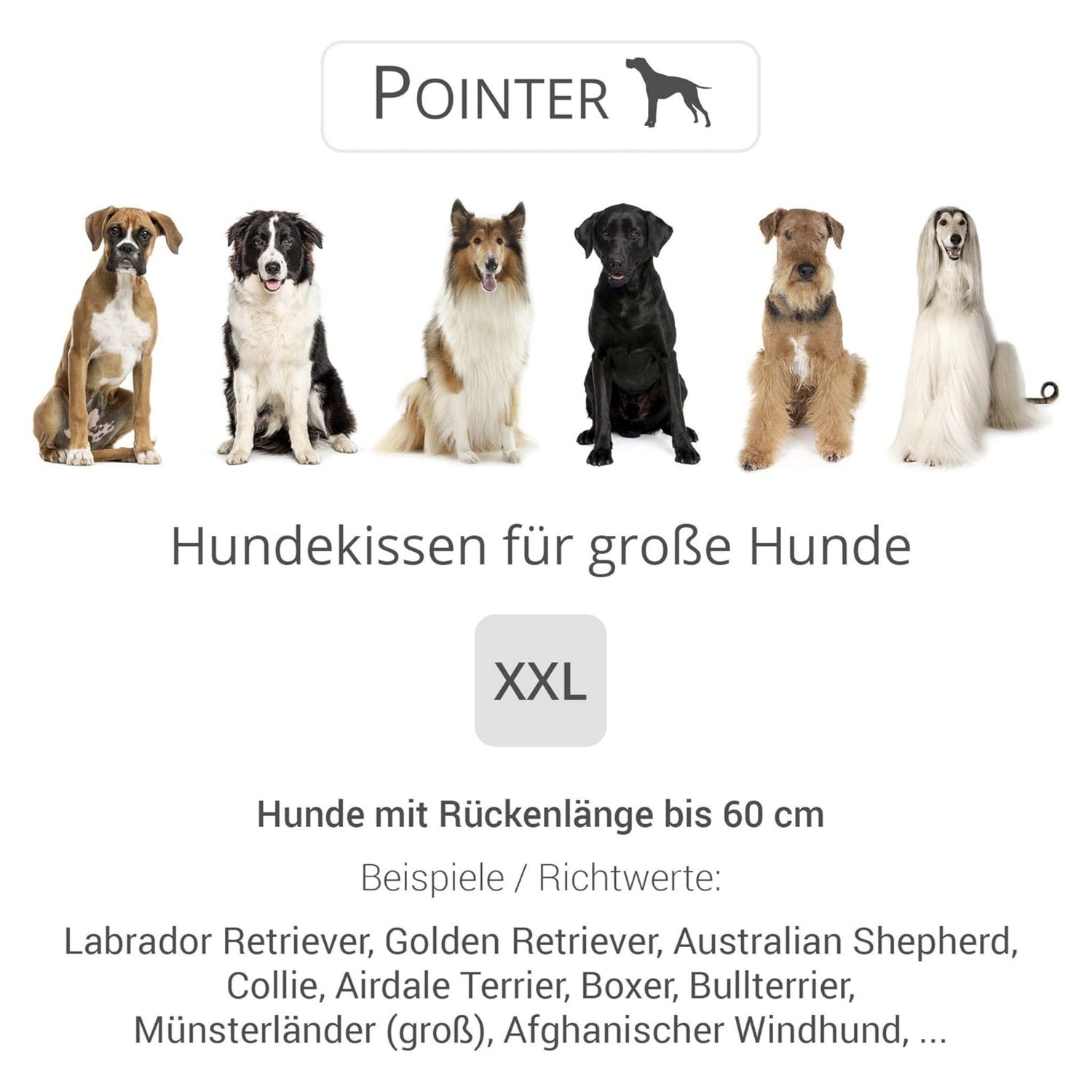 Doctor Bark Orthopädisches Hundekissen Pointer - Woofshack