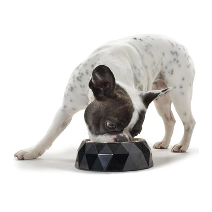 Hunter melamine dog bowl Kimberley