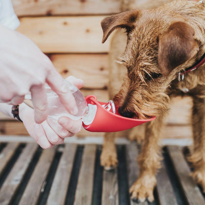 Hunter Outdoor Trinkflasche List mit Silikonnapf, Hunde Reisenapf - Woofshack