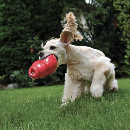 Kong Bounzer, Hundespielzeug - Woofshack