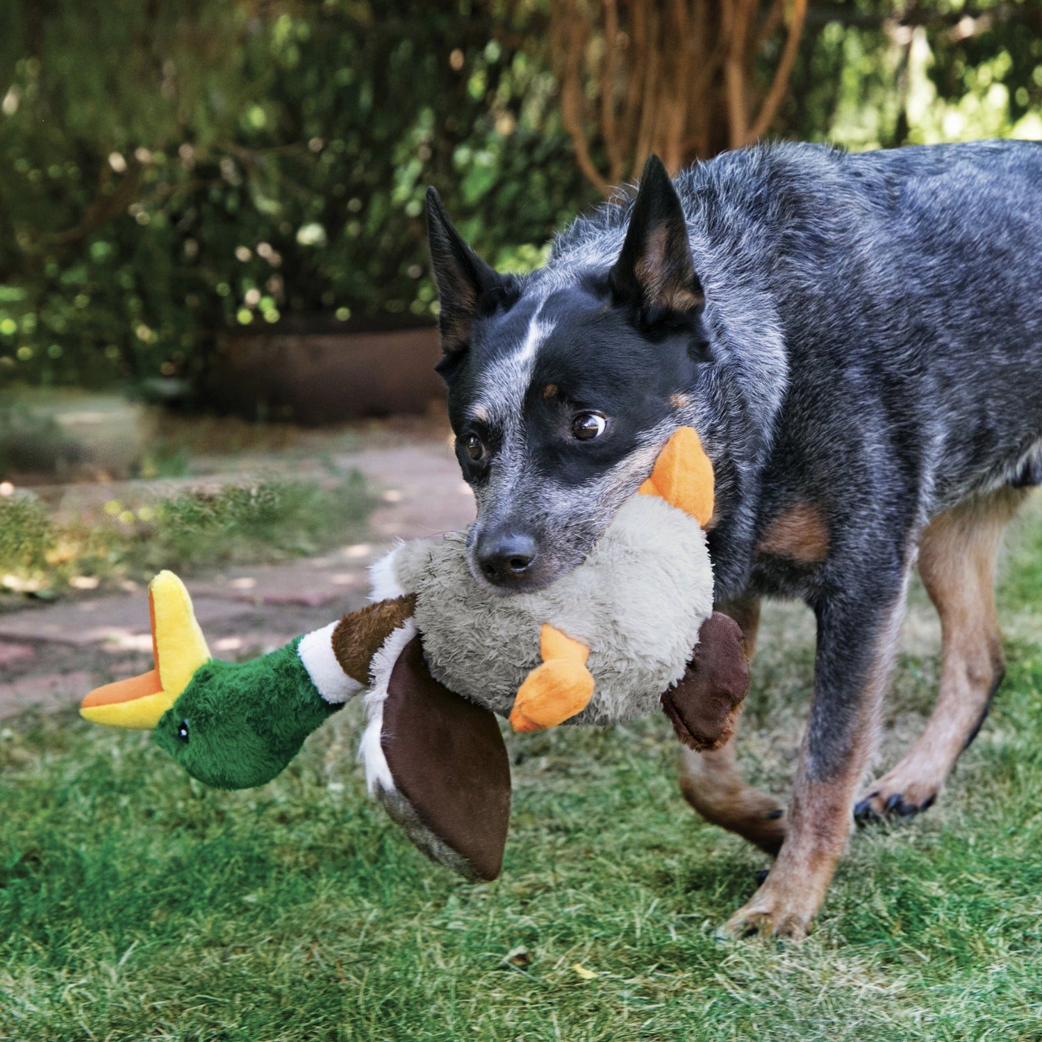 Kong Shakers Honkers Flamingo, Hundespielzeug - Woofshack