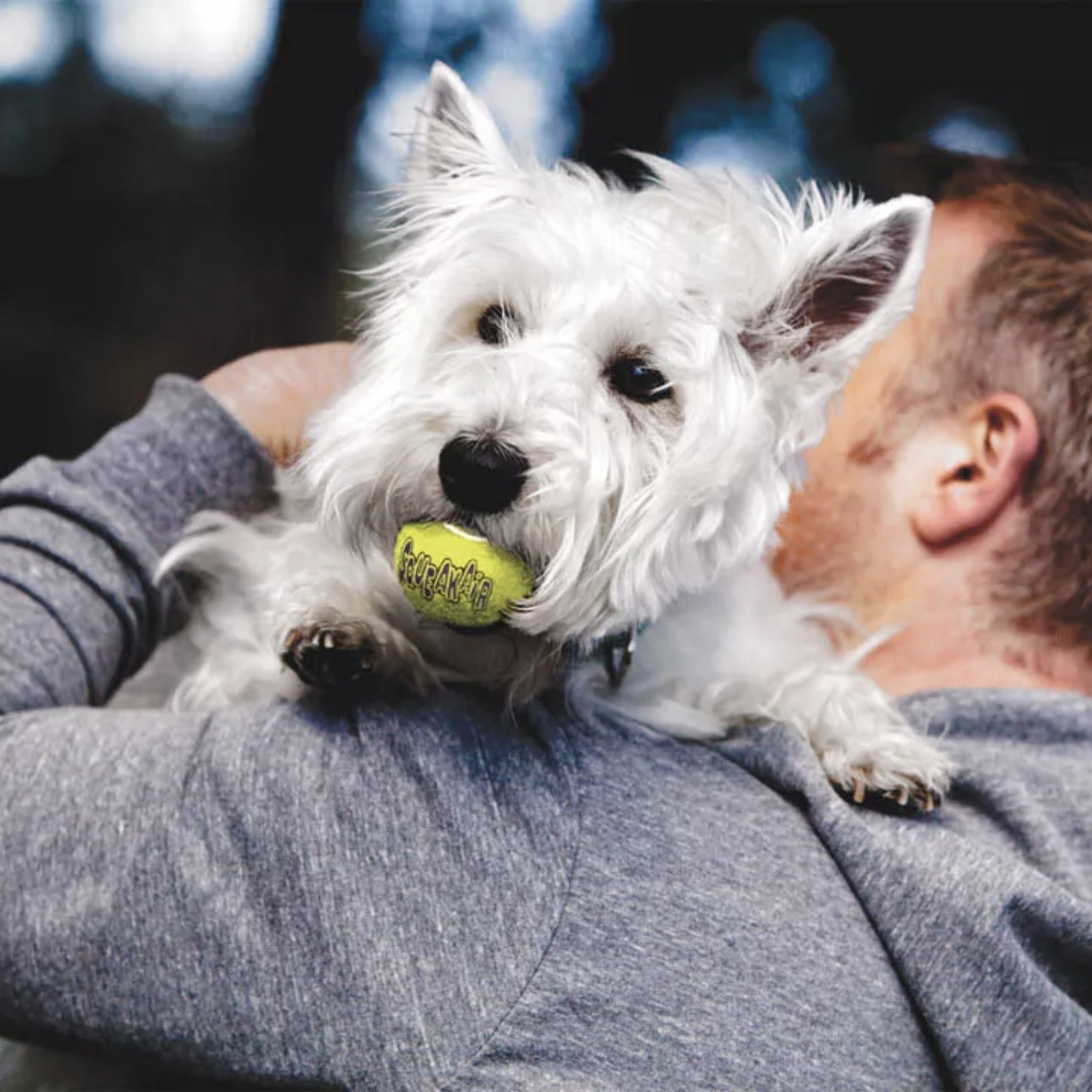 Kong Squeakair Tennisball, Hundespielzeug - Woofshack